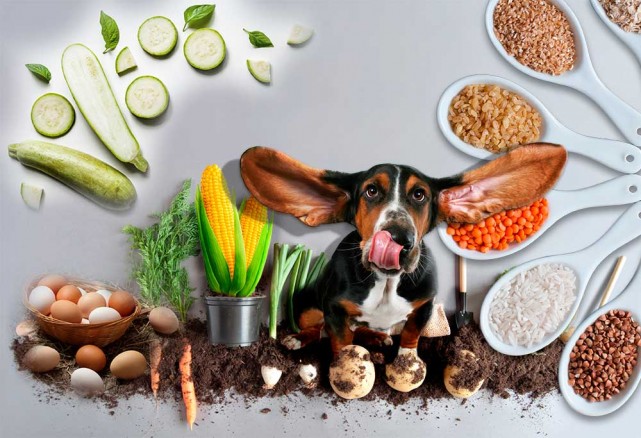  Інгредієнти і смаки кормів для тварин, Частина 3