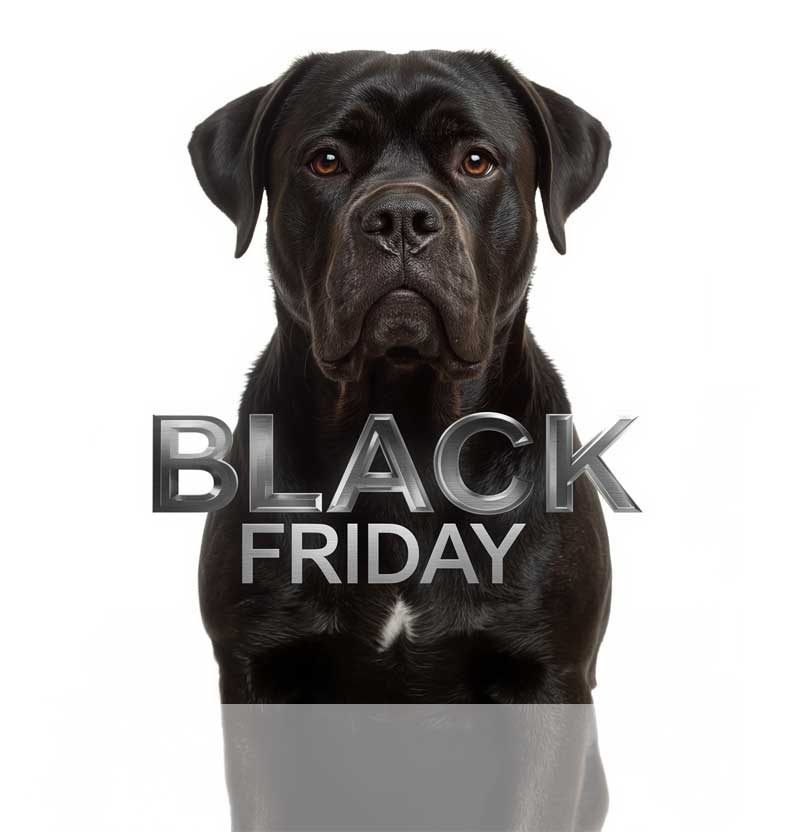 Товары для собак