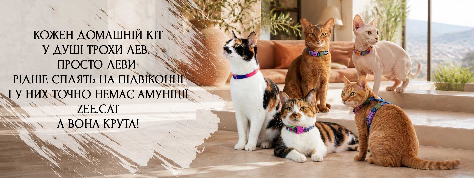 Zee.cat