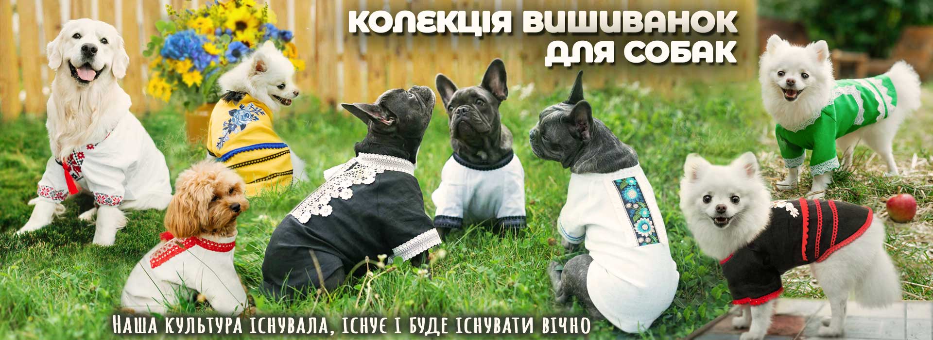 Україна