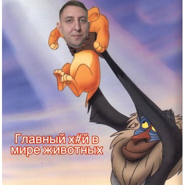 Cвитер для собак Montmorency - Sonnet 35-39 см