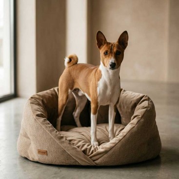 Лежанка Amiplay - Siena Beige, S (50x50x35 см)