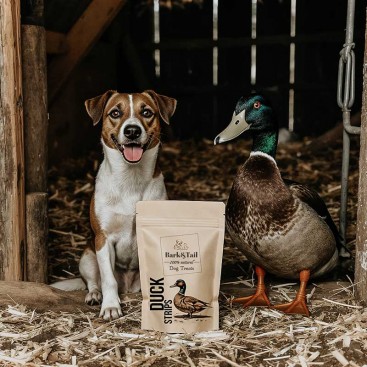 Натуральное лакомство для собак утка Bark&Tail - Dog Treats 100 % Duck, 50 г
