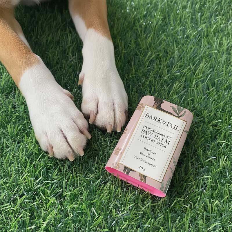 Захисний та зволожуючий гіпоалергенний бальзам для лап Bark&Tail - Paw Balm, 20 г