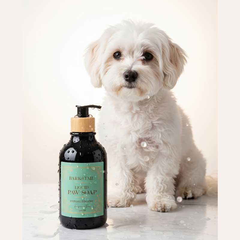 Гіпоалергенне рідке мило для лап Bark&Tail - Hypoallergenic liquid paw soap, 300 мл