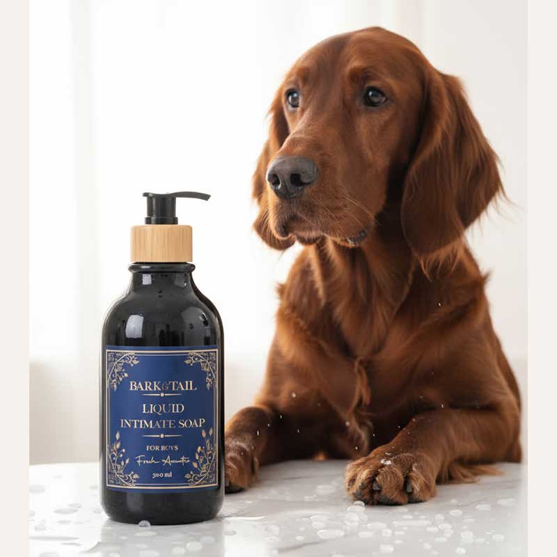 Рідке мило для інтимних зон собак-хлопчиків Bark&Tail - Intimate liquid paw soap for boys, 300 мл