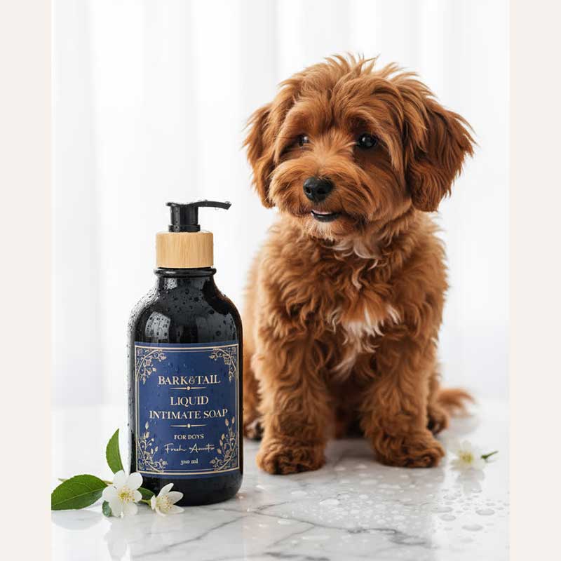 Рідке мило для інтимних зон собак-хлопчиків Bark&Tail - Intimate liquid paw soap for boys, 300 мл
