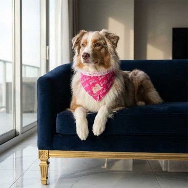 Бандана для собак з вишивкою Montmorency - Barbie