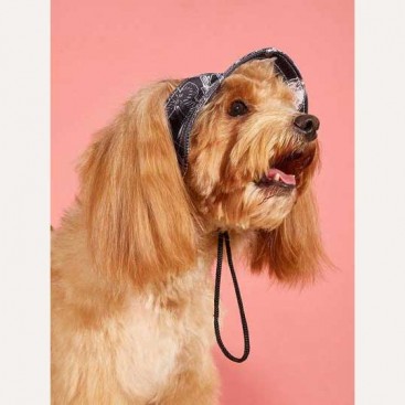 Панама для домашних животных - Dog panama hat Black, S