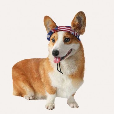 Панама для домашних животных - Dog panama hat British flag, L