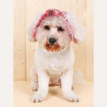 Панама для домашних животных солнцезащитная - Dog panama hat Unicorn print, XS