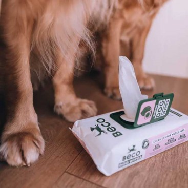 Вологі серветки біорозкладні бамбукові Beco Pets - ароматом кокосу, 80 шт.