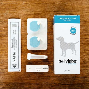 Тест на вагітність для собак Bellylabs - Pregnancy Test For Dogs