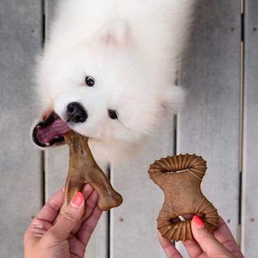 Набір з двох жувальних іграшок для собак зі смаком бекону Benebone - Dental Chew+Wishbone Tiny