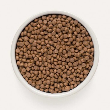 Сухий корм для активних котів з 4 видами м'яса Grandorf - 4 Meat & Brown Rice Indoor 400 г