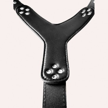 Шлея для собак Bestia - Style Black L-XL 60-115 см