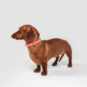 Кожаный ошейник BranniPets - Toy Juno coral, XS 16-21 см, ш: 1.3 см