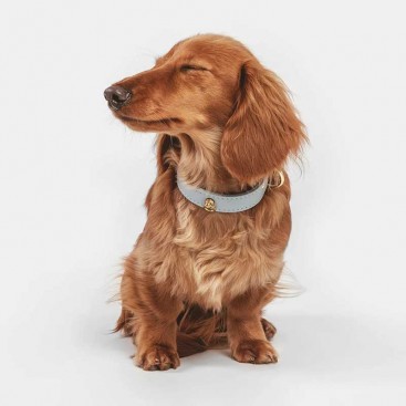 Кожаный ошейник BranniPets - Juno azul cielo, XS 21.5-27.5 см, ш: 1.9 см