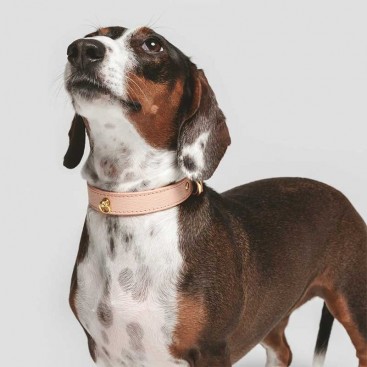 Кожаный ошейник BranniPets - Juno melocotón, S 26.5-32 см, ш: 1.9 см