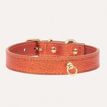 Шкіряний нашийник BranniPets - Metal Orange, M 31.5-37 см, ш: 1.9 см