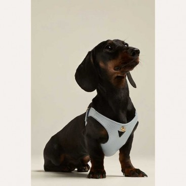 Кожаная шлея BranniPets - Juno azul cielo, M 43-53 см