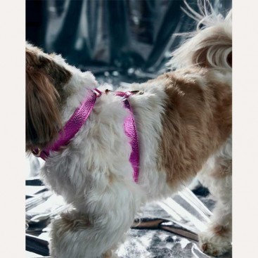 Шкіряна шлея BranniPets - Metal Fucsia, L 36-42 см