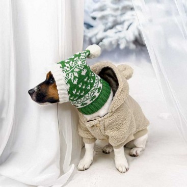 Шапка для собак Christmas - Snowflakes Green, L