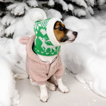 Шапка для собак Christmas - Snowflakes and deer Green, S