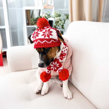 Комплект для собак шапка та шарф Christmas - Snowflakes Red, L