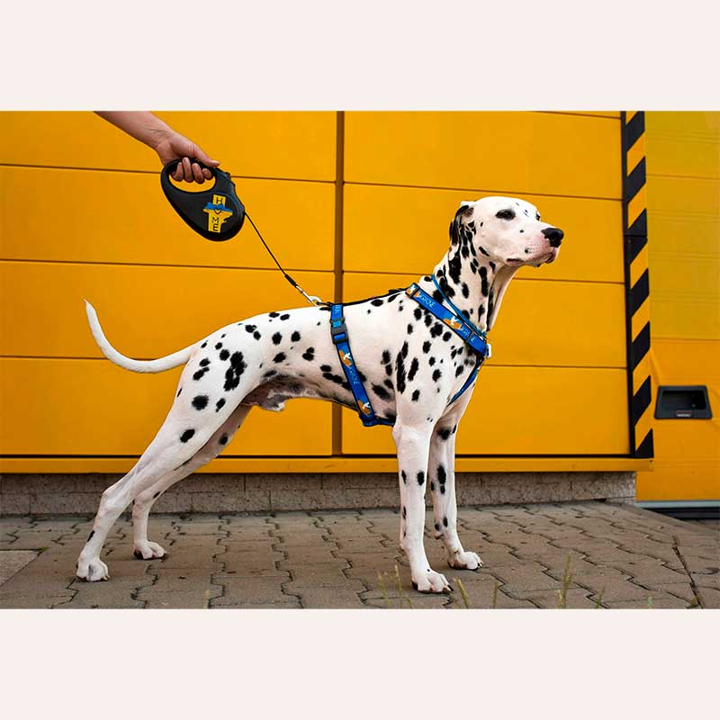Повідець-рулетка для собак Collar - WauDog R-leash Home, S 5 м