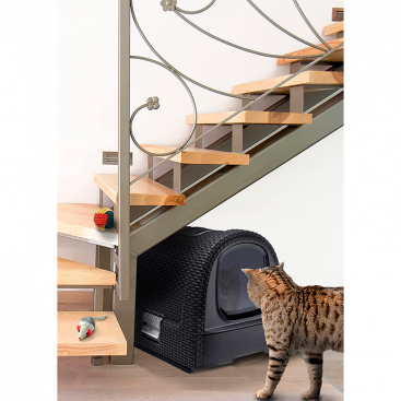 Закритий туалет для котів Curver - Petlife Litter Box Mokka