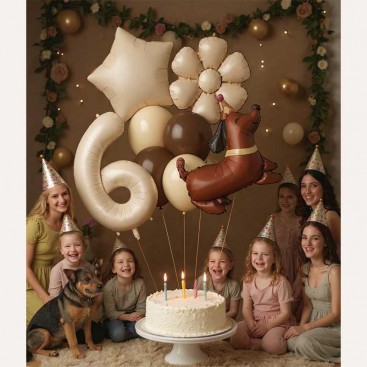 Набор из 10 3D шаров на шестой день рождения собачку Fiesta - Brown Daisy Dog