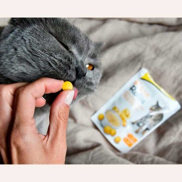 Вітамінні ласощі для котів з італійським сиром GimCat - Cheezies, 40 г