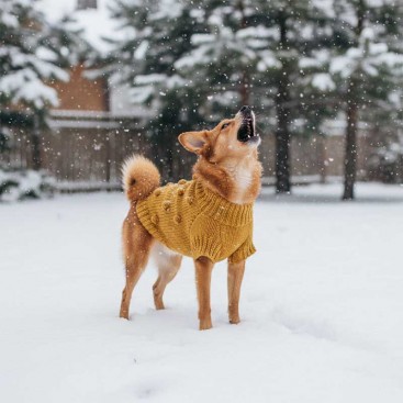 Светр для собак Дотс goodboy.swtrs - Mustard,S