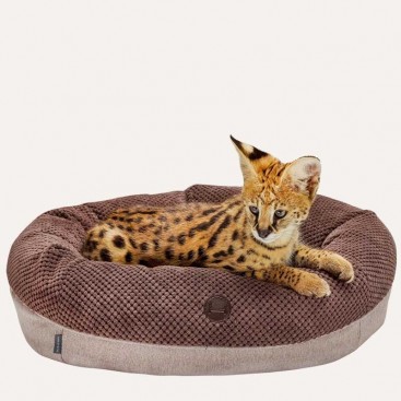 Овальний лежак для котів Bagel Brown M (75х65 cm)