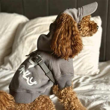 Кепка для собак из вельвета HatDog - Gray, S