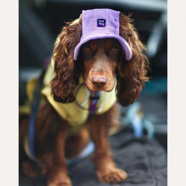 Панама для собак из вельвета HatDog - Lavender, S