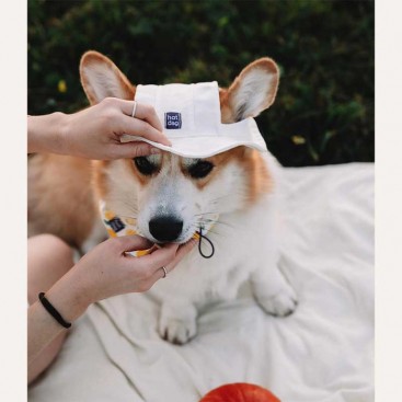 Панама для собак из коттона HatDog - White, S