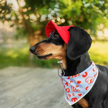 Бандана для собак шелковая - HatDog, L