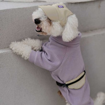 Кепка для собак з еко-шкіри HatDog - Beige, S