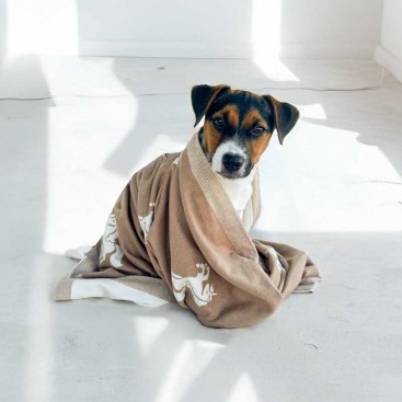 Плед для тварин Home Creative - In style Hermes, 80х100 см