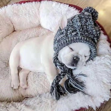 Шапка в'язана для собак Canada Puppy - Gray, M