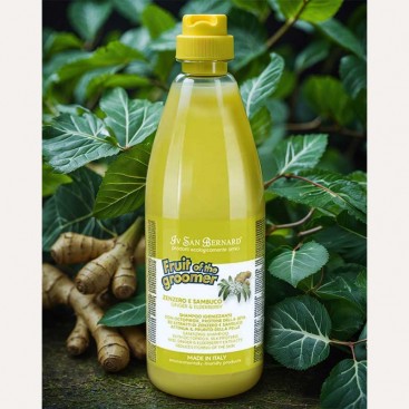 Шампунь для собак і котів дезінфікуючий з бузиною і імбирем Iv San Bernard - Ginger&Elderberry 500мл