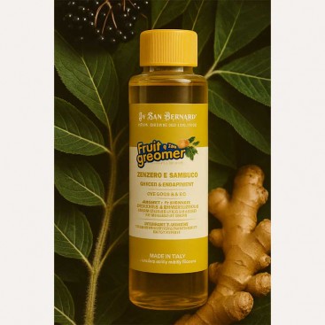 Шампунь для собак і котів дезінфікуючий з бузиною і імбирем Iv San Bernard - Ginger&Elderberry 100мл