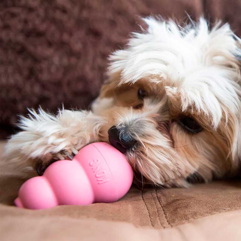 Іграшка для цуценят Kong - Puppy, S pink