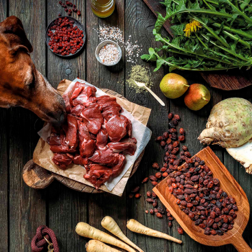 Влажный корм для собак с олениной и пастернаком Lila loves it - Wild Venison with Parnship, 150 г