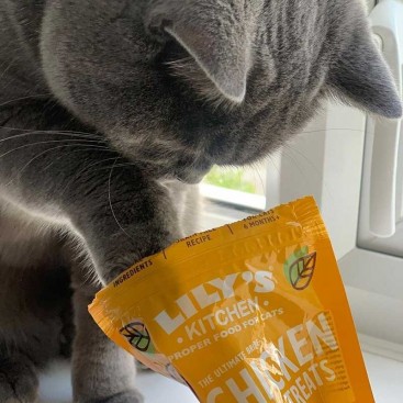 Лакомство для кошек с курицей Lily's Kitchen - Cat Treats - Chicken 60 г