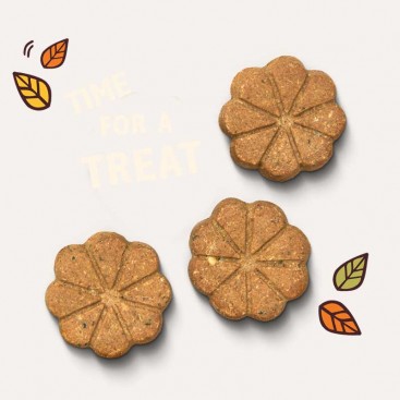 Лакомство для собак с арахисовой пастой, бананом и корицей Lily's Kitchen - Breaktime Biscuits