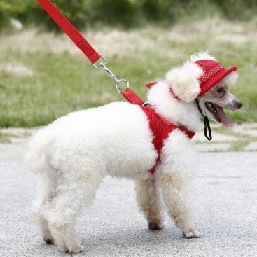 Панама для собак MaruPet - Dog panama hat red with bow, L