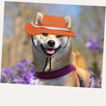 Панама для домашних животных MaruPet - Dog panama hat orange with bow, M